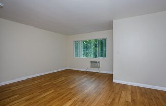 Studio, 1 bath, 510 sqft, $1,995, Unit 12