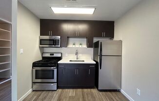 Studio, 1 bath, 360 sqft, $1,325, Unit 54