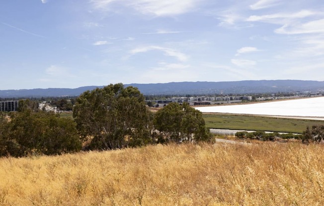 a field of dry grass with a lake and a city in the background at Avenue Two Apartments, Redwood City