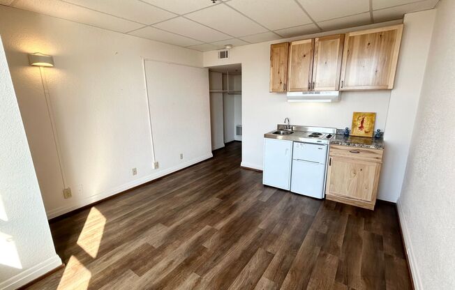 Studio, 1 bath, 195 sqft, $470, Unit 417