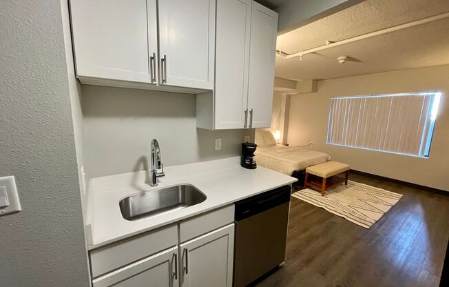 Studio, 1 bath, 335 sqft, $1,095, Unit 214 (Furnished Unit)