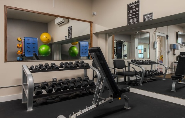 A gym with a variety of equipment including dumbbells, weight plates, and a bench press.