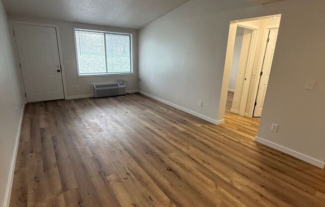 Newly Renovated Apartments Available NOW