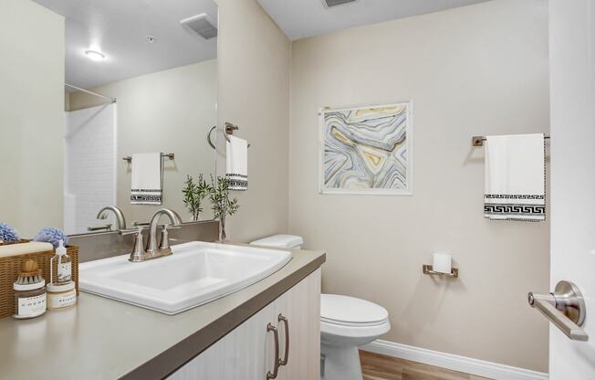 a bathroom with a sink and a toilet