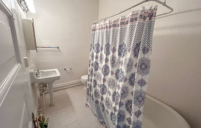 Studio, 1 bath, 245 sqft, $485, Unit 426