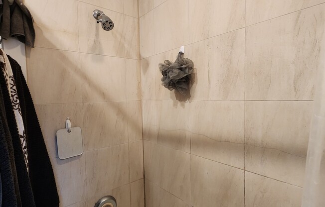 3117 N Orchard St Apt 1E