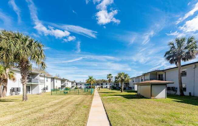 A sunny day at the apartment complex with palm trees and a clear blue sky.