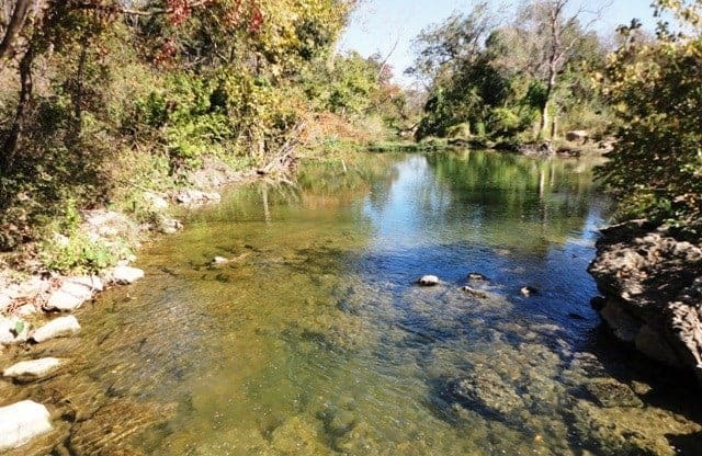 A river flows through a forest with rocks in the water.
