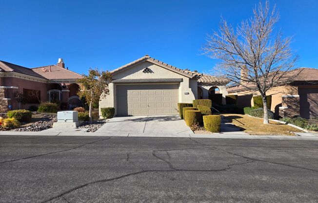 A Fabulous Single Story Home In Summerlin