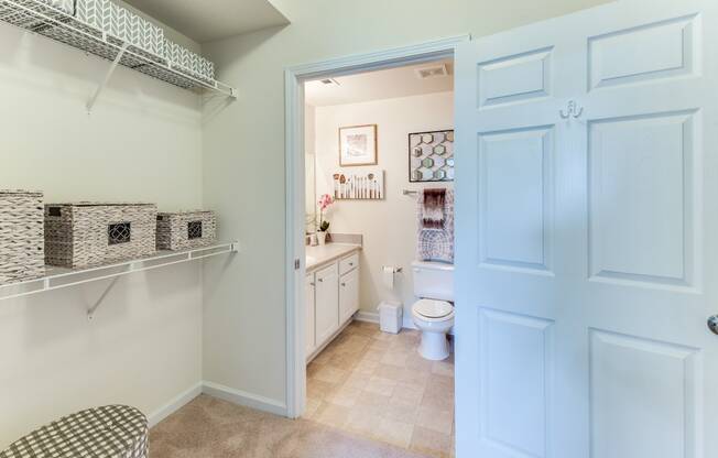 a bathroom with a toilet and a sink and a closet