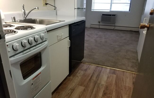 1 bed, 1 bath, 450 sqft, $1,225, Unit 121-9A