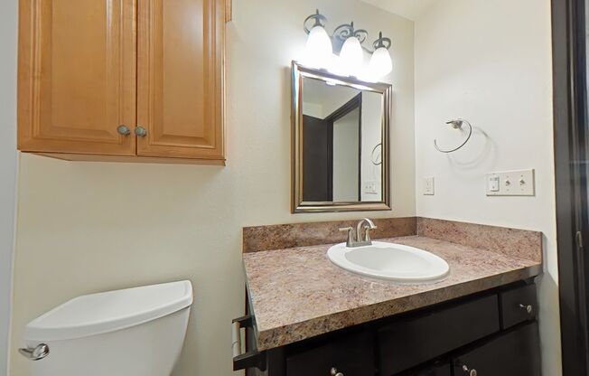 1 Bedroom Apartment ~ Close to Campus ~ Small Pet Friendly