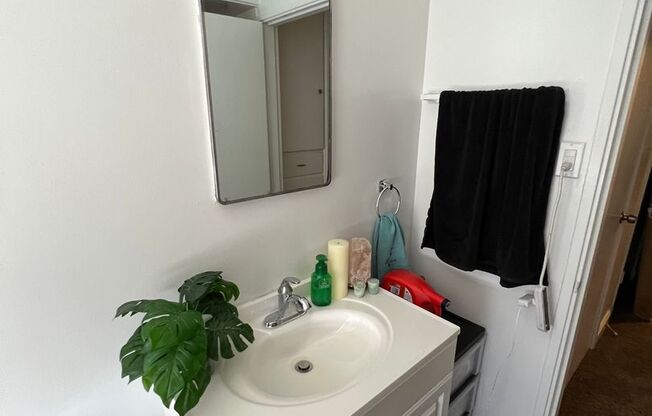 Studio, 1 bath, $995, Unit 14