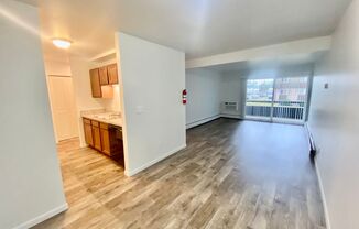 2 beds, 1 bath, 1,000 sqft, $1,295, Unit 205