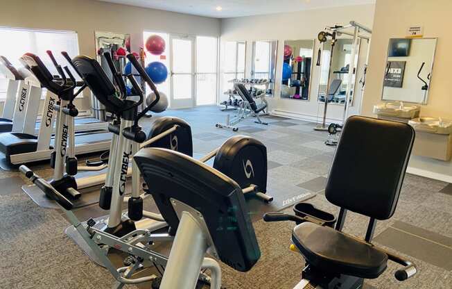 a state of the art gym with cardio equipment and weights