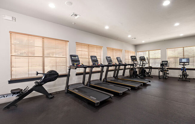 the gym is equipped with cardio equipment and weights