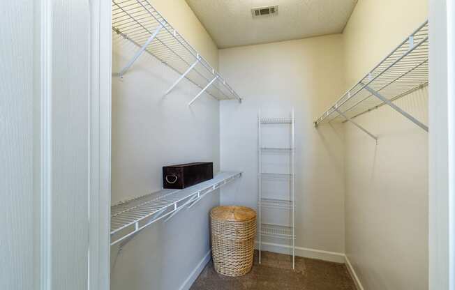 Island Park and Harbor Town Square Apartments - Walk-in closets