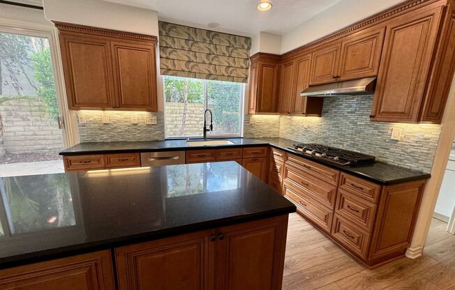 Beautiful Remodeled home in Dos Vientos