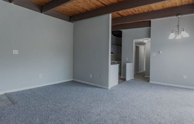 1 bed, 1 bath, 500 sqft, $999