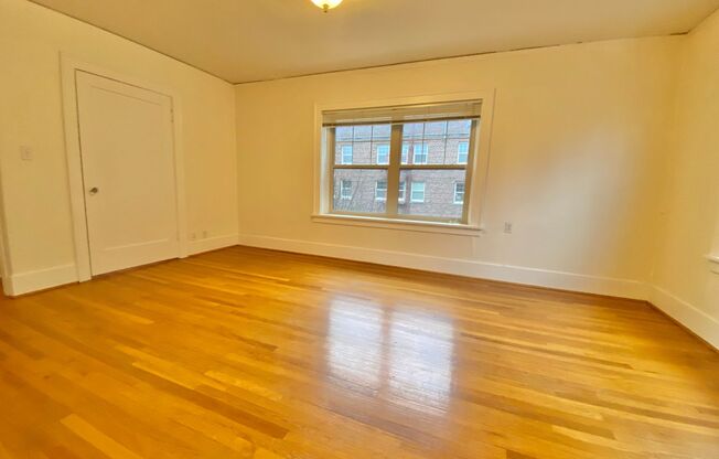 Studio, 1 bath, 365 sqft, $1,495, Unit 306