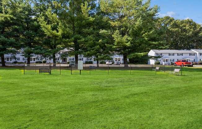 open park with pretty scenery and tall trees at Fox Hill Commons, Connecticut