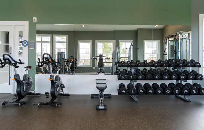 Fitness Studio with Free Weights