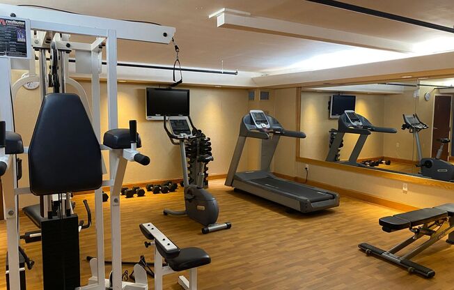 1 bed, 1 bath, 545 sqft, $1,900, Unit 208