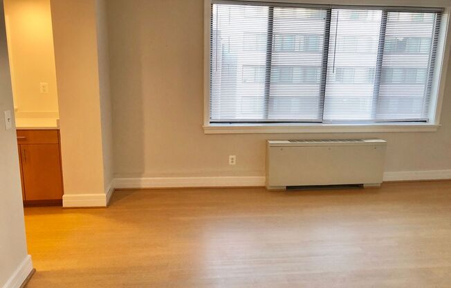 Studio, 1 bath, 469 sqft, $1,995, Unit 0202