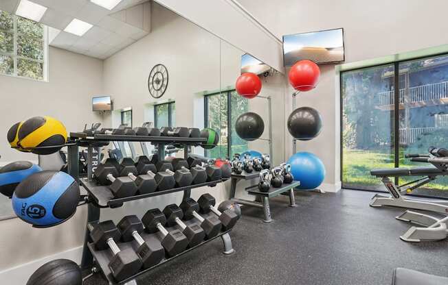 A gym with a variety of equipment including dumbbells, weight plates, and a bench press.