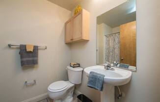 Bathroom in Iron House Apartments in Richmond VA
