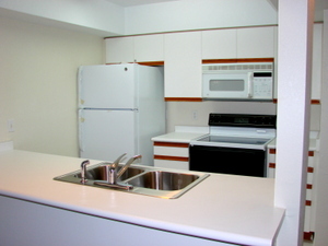 2 beds, 2 baths, $1,250