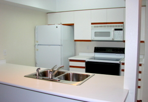 2 beds, 2 baths, $1,250