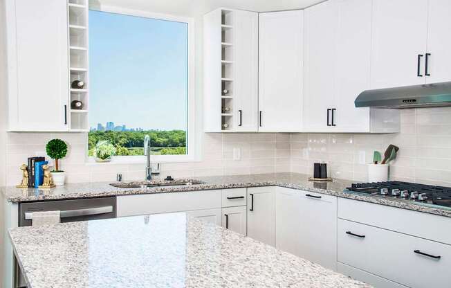 Modern kitchen with sleek stainless steel appliances, granite countertops, a built-in dishwasher, and a stylish gas range. Minnetonka, MN.