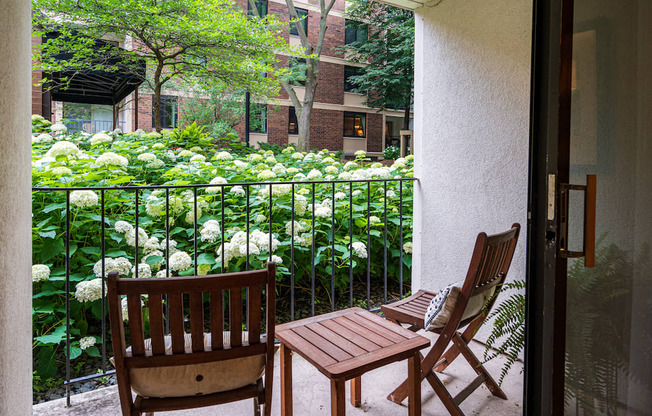 Outdoor patio with wooden chairs facing tall fauna
