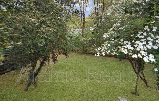 377 SPRINGDALE DR NE