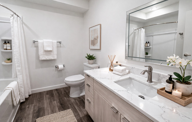 Studio, 1 bath, 278 sqft, $1,895, Unit 201