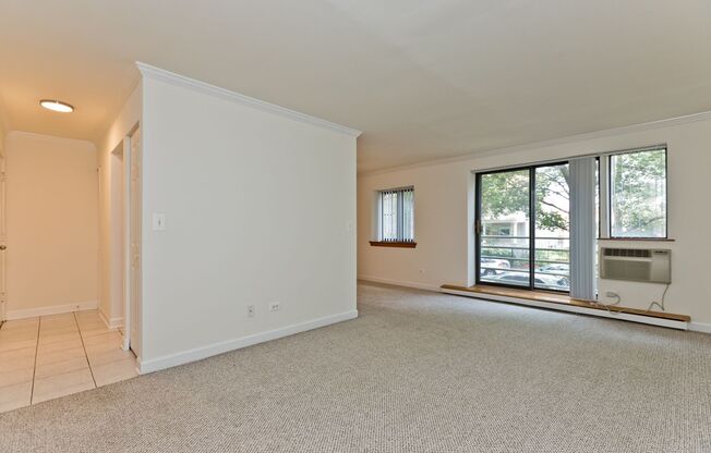 1 bed, 1 bath, $1,595, Unit 213