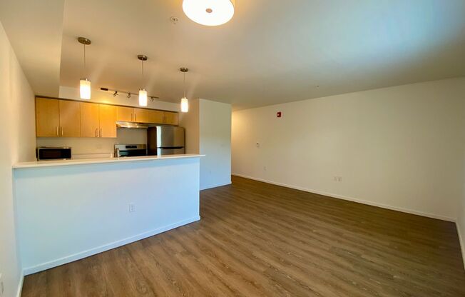 1 bed, 1 bath, 520 sqft, $2,150, Unit 2307-A