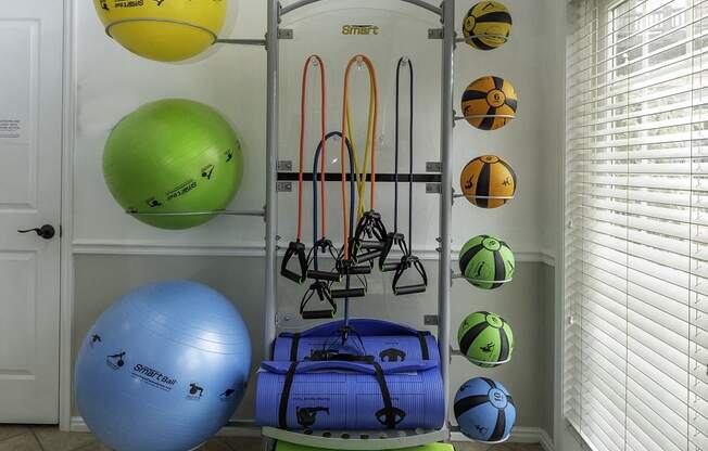 A gym equipment set up in a room.