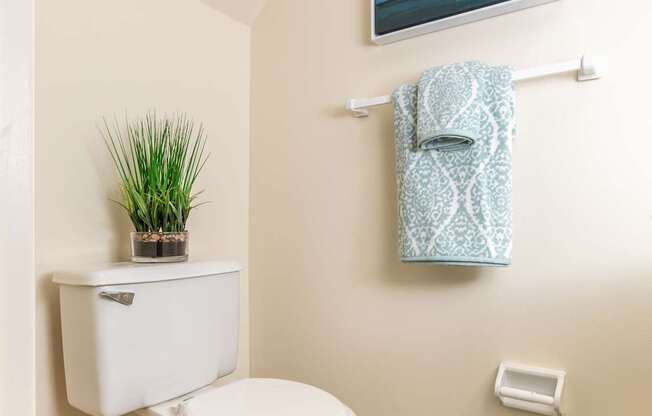 A white toilet with a plant on top of the tank and a towel rack with a towel hanging on it.