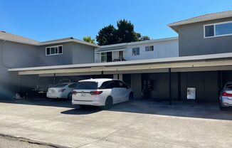 2 beds, 1 bath, $2,600, Unit 2053 Central Ave C (LO)
