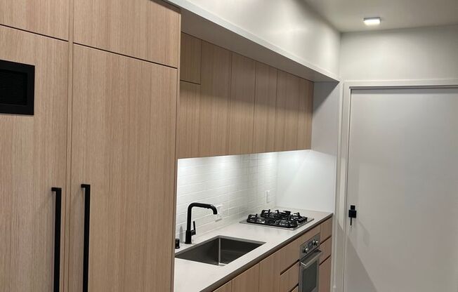 DOGPATCH MODERN LUXURY Jr 1BR 1BA CONDO, ROOF DECK, BBQ, DOG WASH!
