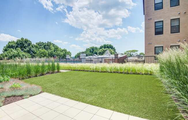 Rooftop with grass