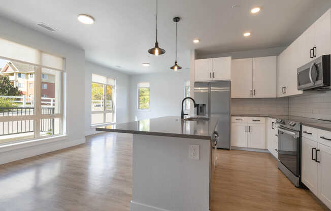 Kitchen and Living Area with Hard Surface Flooring