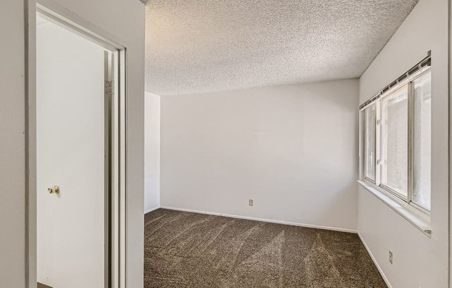 natural light in apartment at mesa gardens