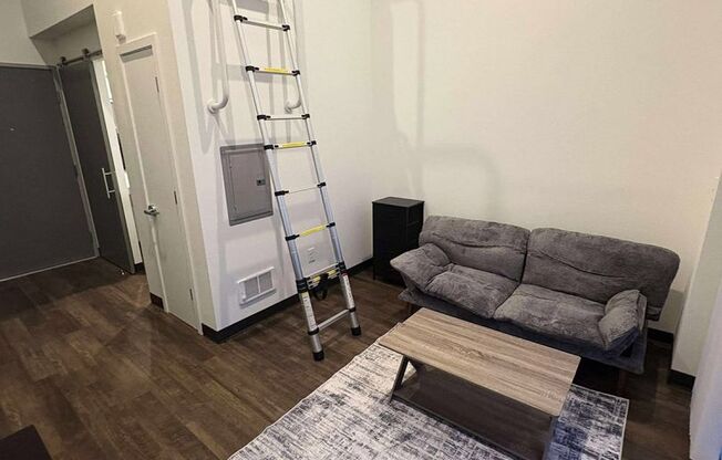 Studio, 1 bath, 265 sqft, $1,345, Unit Z-240 Furnished