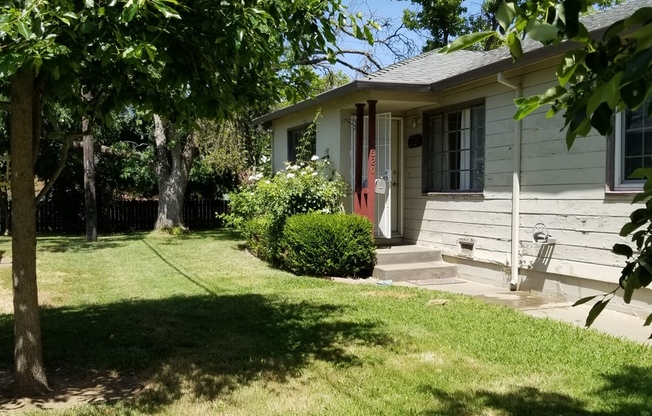 1 bed, 1 bath, $1,750