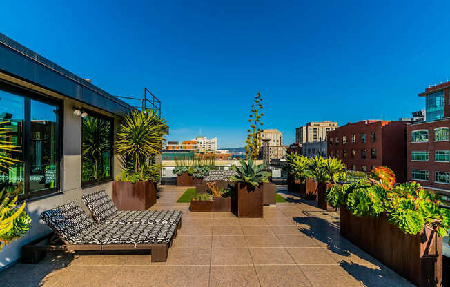 A patio with a couch and potted plants.at Arc Light, San Francisco