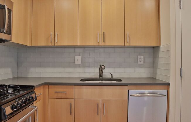 Studio, 1 bath, 440 sqft, $2,500, Unit 0313