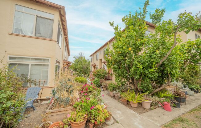 2526 Ivy Dr